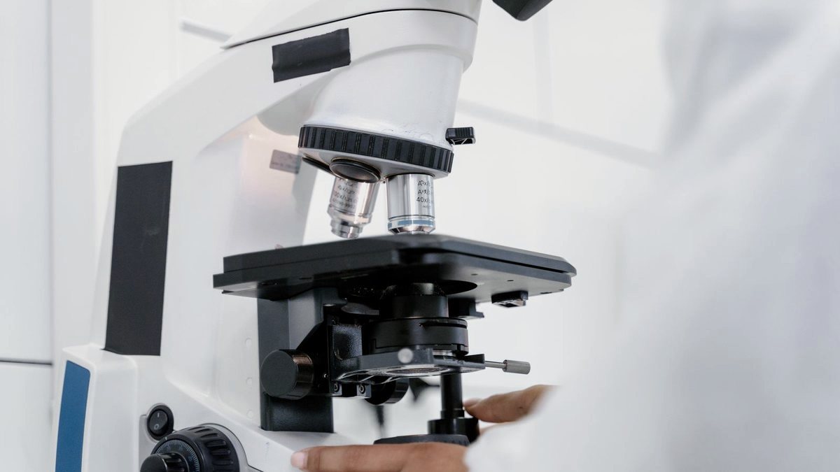 Hands-on regenerative medicine training
